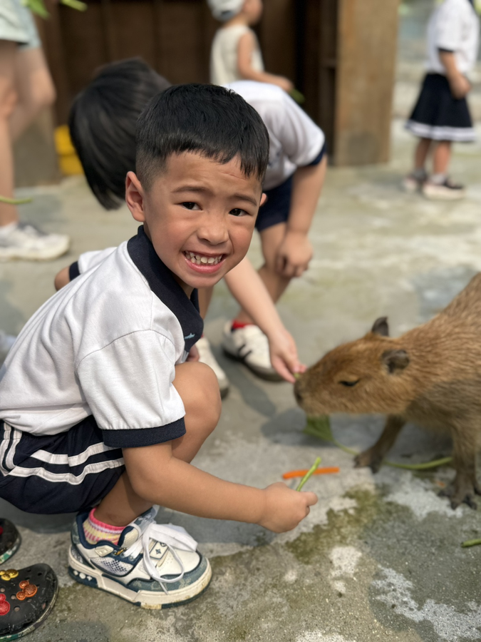 Capybara Farm 1