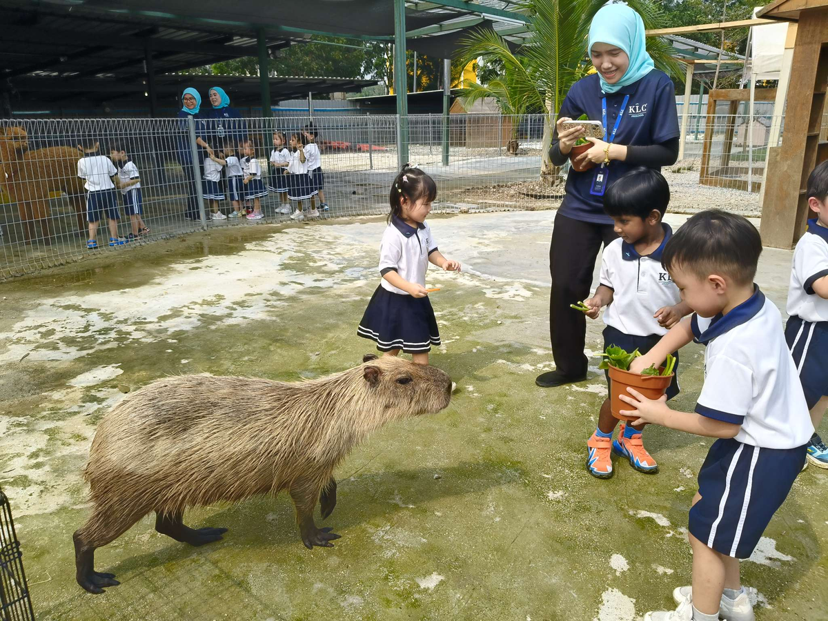 Capybara Farm 3
